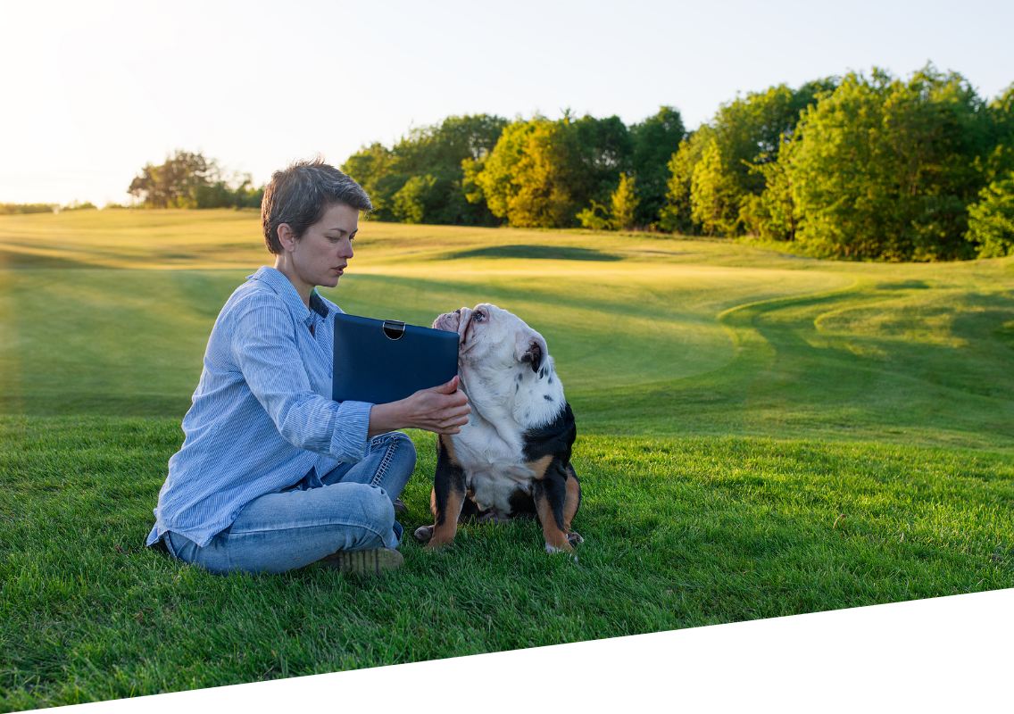 Easiest, Most Functional App & Portal in the Vet Industry