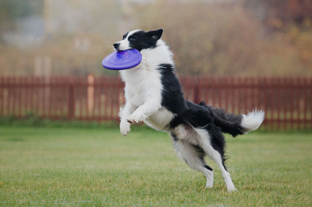 Auditing Your Client Communication Capabilities — “Up to Speed” or “Upgrade Needed”?