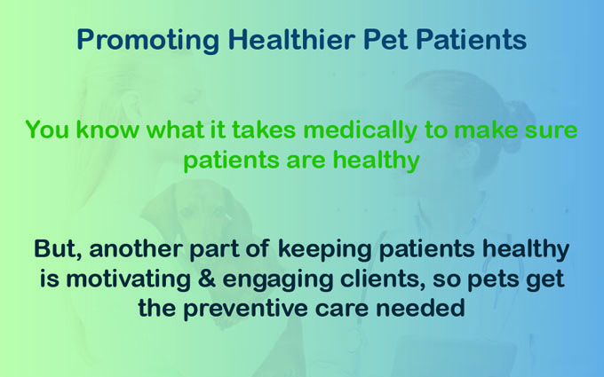 Promoting Healthier Pet Patients