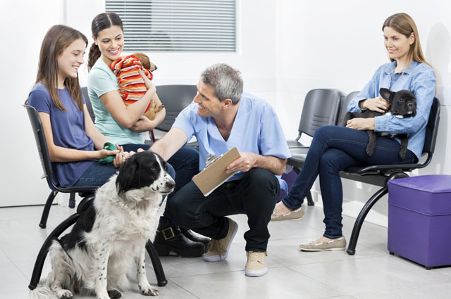 Other Views: Preventive Care — It Takes a Team